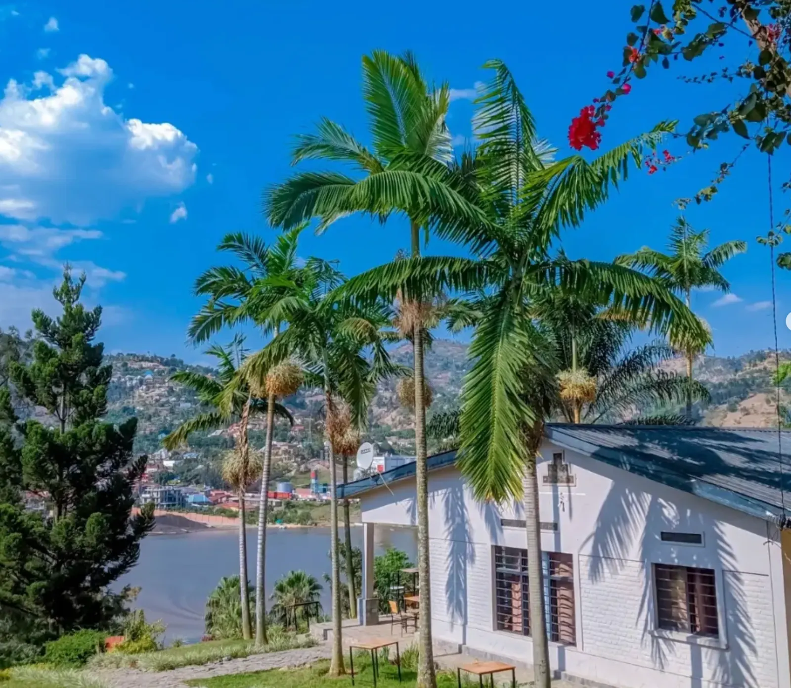 A white house among palm trees, overlooking Lake Kivu and the hills